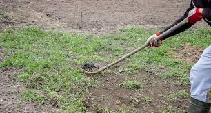 تنظيف منازل الدمام