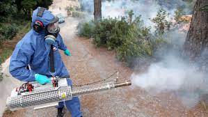 تنظيف منازل الدمام